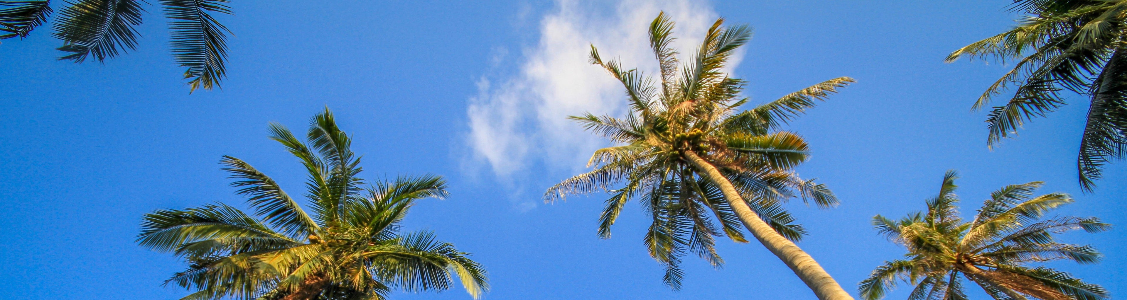 slider image slider_item_XcWYHM